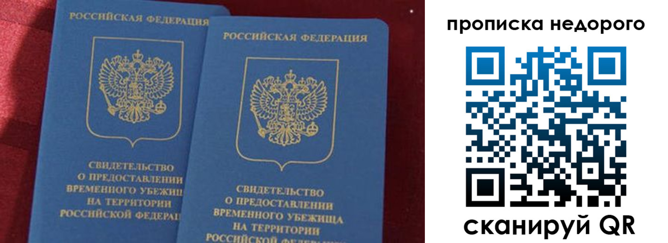 прописка гарантия в Санкт-Петербурге
